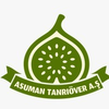 ASUMAN TANRIÖVER